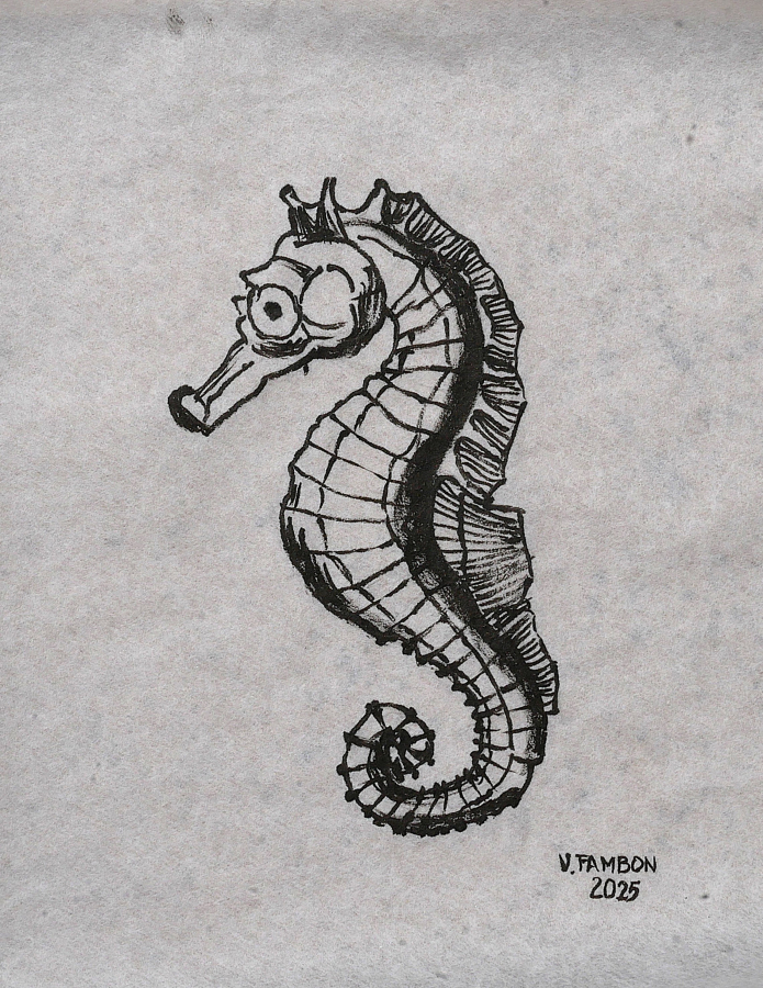 Hippocampe - Encre de Chine